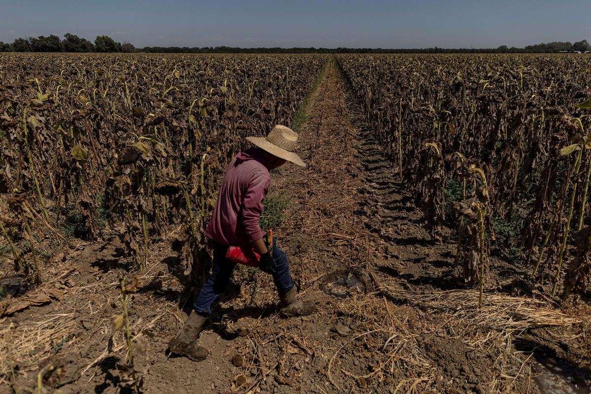 <i>Carlos Barria/Reuters</i><br/>