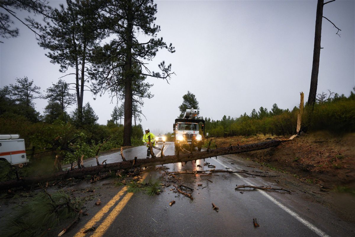 <i>Nelvin C. Cepeda/AP</i><br/>Caltrans workers remove a fallen tree in San Diego on September 9.