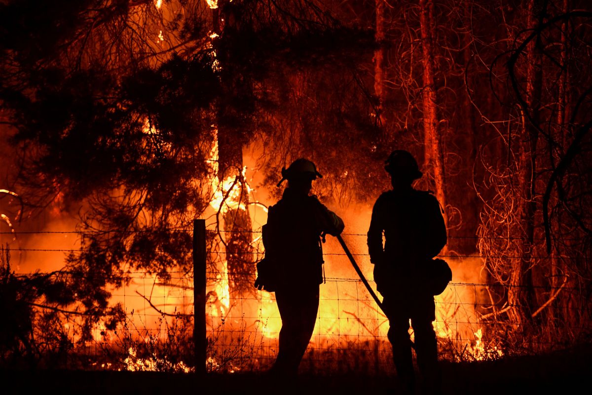 <i>Patrick T. Fallon/AFP/Getty Images</i><br/>Firefighters spray water on trees during the Dixie Fire