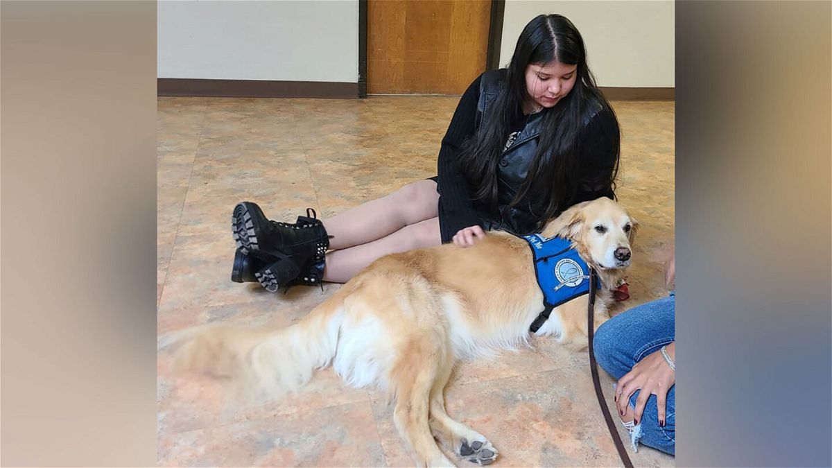 <i>Lutheran Church Charities</i><br/>A student with comfort dog Abner at Uvalde High School on the first day back to school is pictured here.