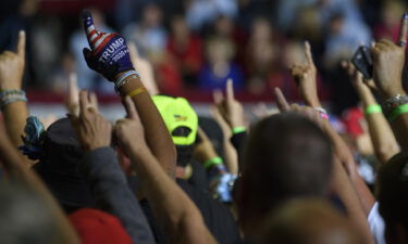 Crowd members put their index fingers at Trump's Ohio rally. QAnon fans are celebrating Trump's latest embrace of the conspiracy theory.