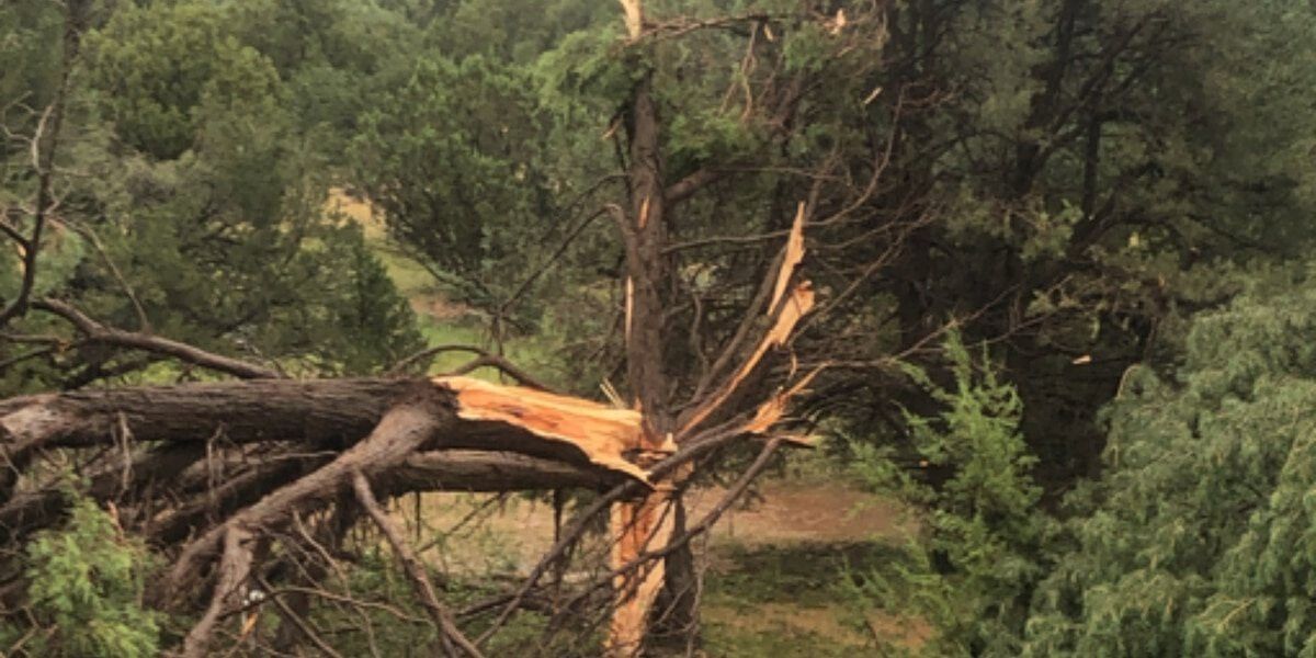 <i>KTVK/KPHO</i><br/>Officials confirmed an EF-1 tornado ripped through northern Arizona