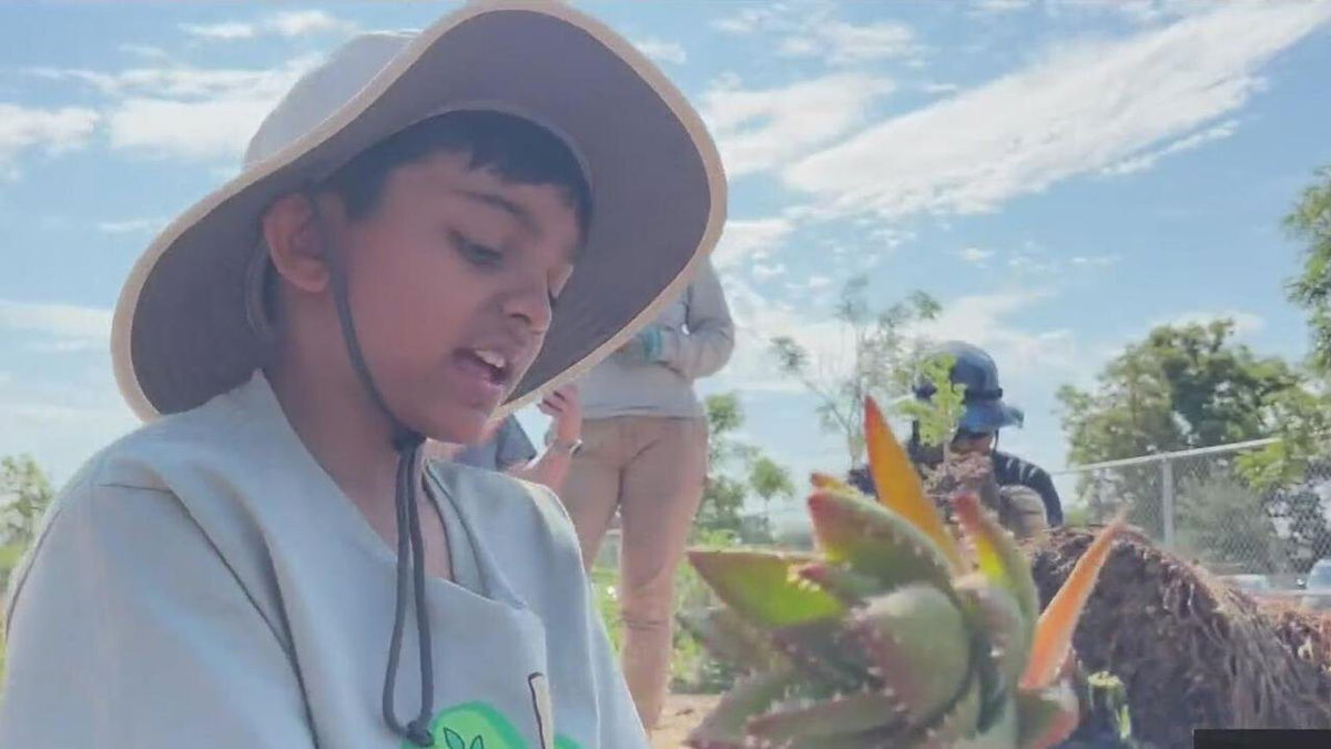 <i>KPIX</i><br/>Ridhann Desai is part of a small army of citizen-volunteers called Lawnbusters. They go from home to home