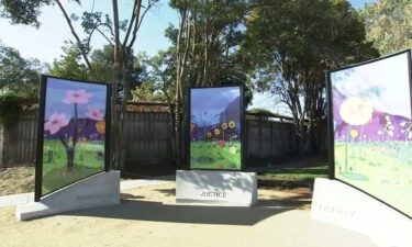 A new social justice art display went up in the North Bay on Saturday. The public art piece created by local youth was installed in the wake of controversy