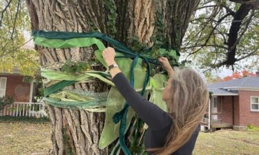 Marianne Asher-Chapman ties a green ribbon around a tree every year in honor of her daughter Angie Yarnell.