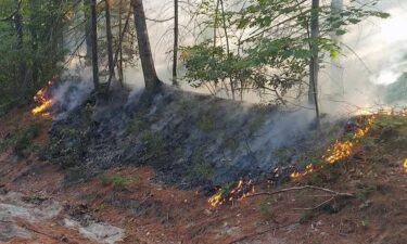 A fire burns on the side of a road in Denmark