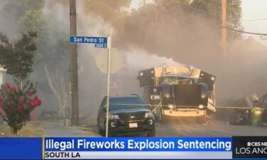 The Los Angeles Police Department Bomb Squad blew up the illegal fireworks