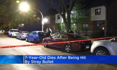 A 7-year-old boy was struck and killed by a stray bullet in the Humboldt Park neighborhood Wednesday night.