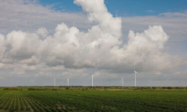 A windfarm on farmland near Brownsville