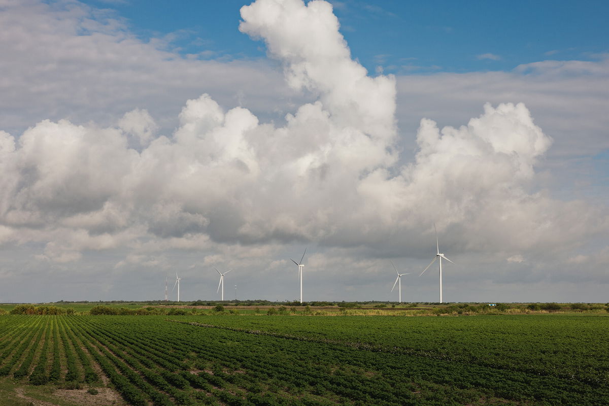 <i>Jordan Vonderhaar/Bloomberg/Getty Images</i><br/>A windfarm on farmland near Brownsville