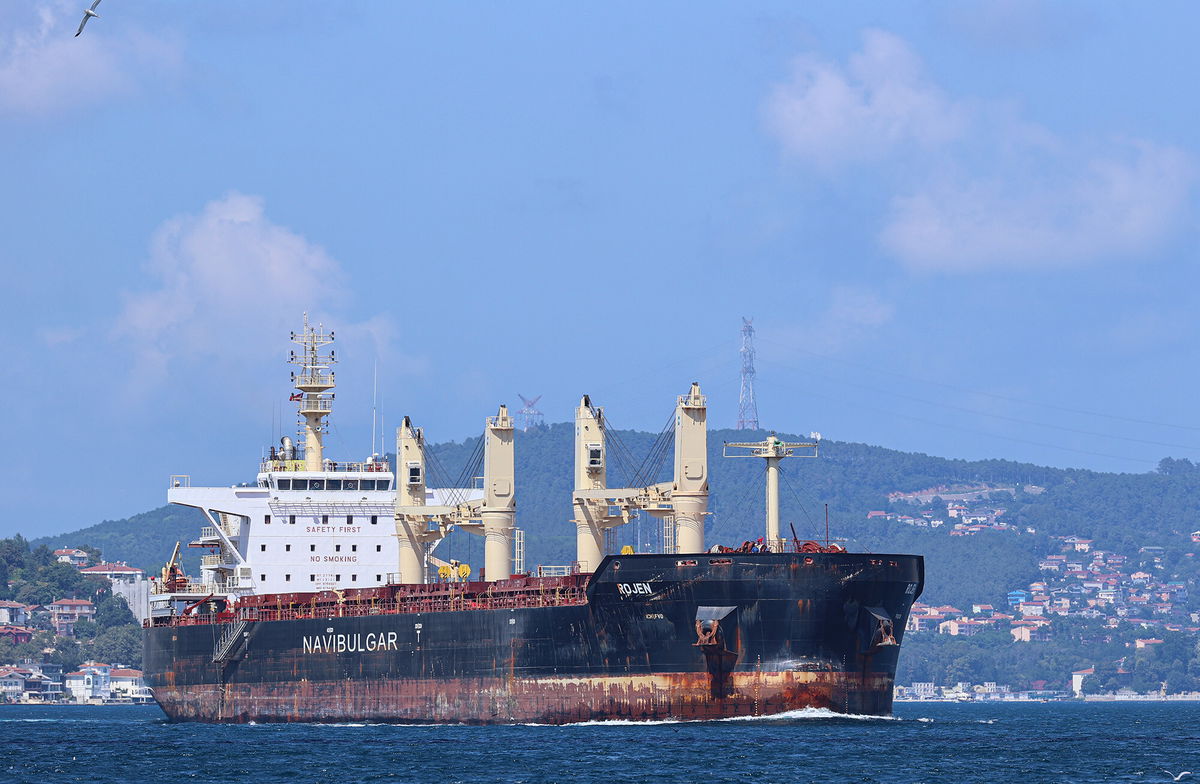 <i>Esra Bilgin/Anadolu Agency/Getty Images</i><br/>Maltese-flagged ship Rojen passes through the Bosphorus after the Joint Coordination Center comprising representatives of Turkey