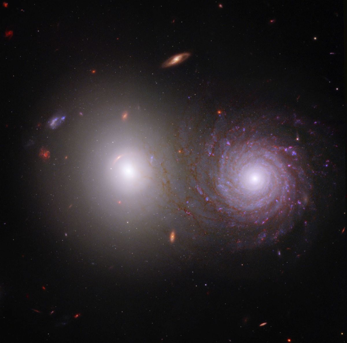 <i>NASA/ESA/CSA/ASU/UA/UM/JWST PEARLs Team</i><br/>A new image from the James Webb space Telescope showcasing a galactic pair