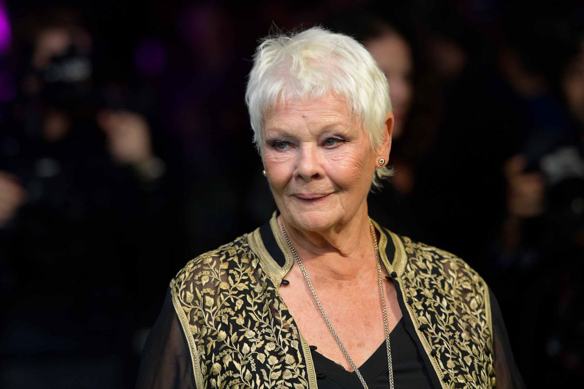 <i>Thomas Lohnes/Getty Images</i><br/>Judi Dench