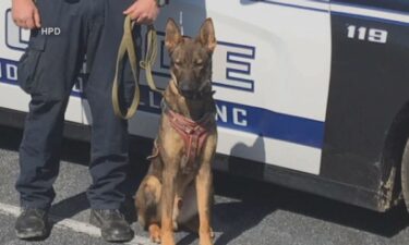 A couple attacked by an off-duty Hendersonville K-9 files a lawsuit.