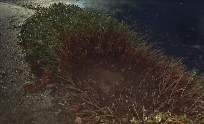<i>KPTV</i><br/>A mysterious explosion woke up neighbors in a Salem neighborhood on November 7. The big blast came as a rude awakening for many