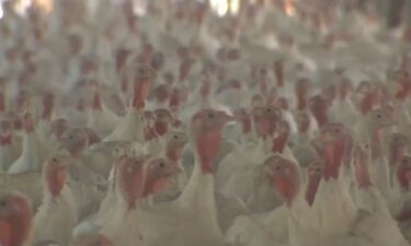A popular Lehigh Valley turkey farm had to destroy thousands of turkeys after the bird flu disease was detected in a flock.