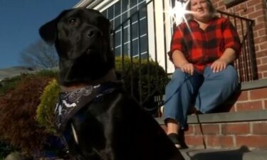 A black lab named 'Duke' was pulled 12 feet up to safety after he got stuck in a cesspool in Melville.