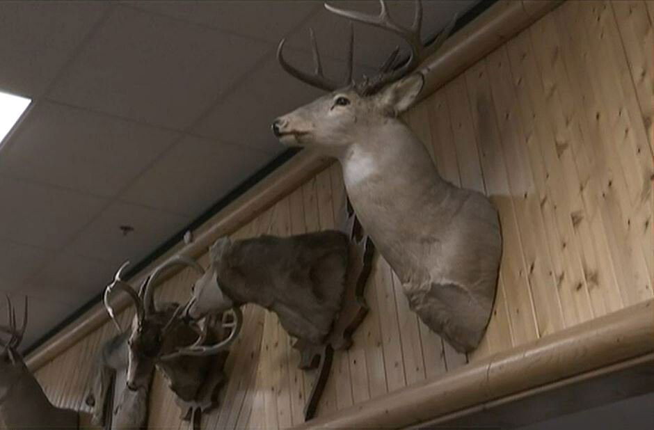 <i>WNEM</i><br/>It is the start of firearm season for deer hunters