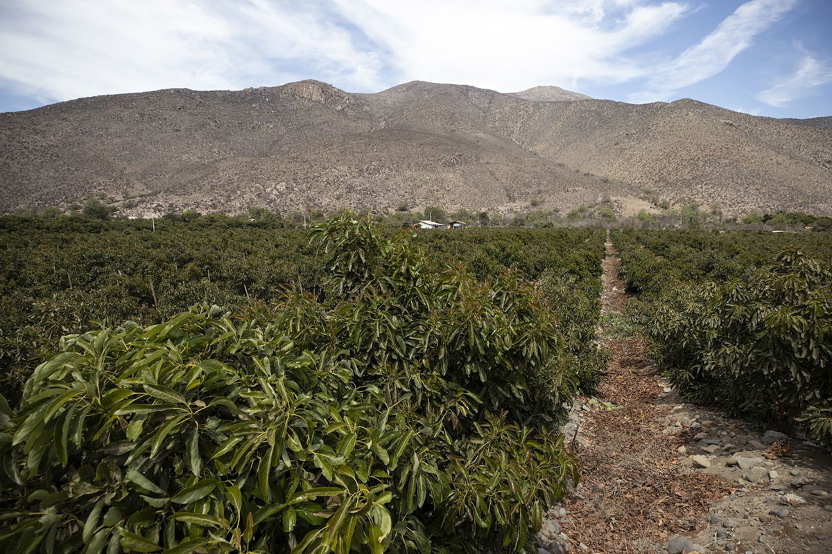 <i>Albert Valdes/EPA-EFE/Shutterstock</i><br/>Considered the epicenter of the country's mega drought