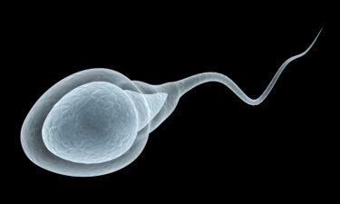 Human sperm counts appear to have fallen by more than 50% around the globe over the past 50 years.