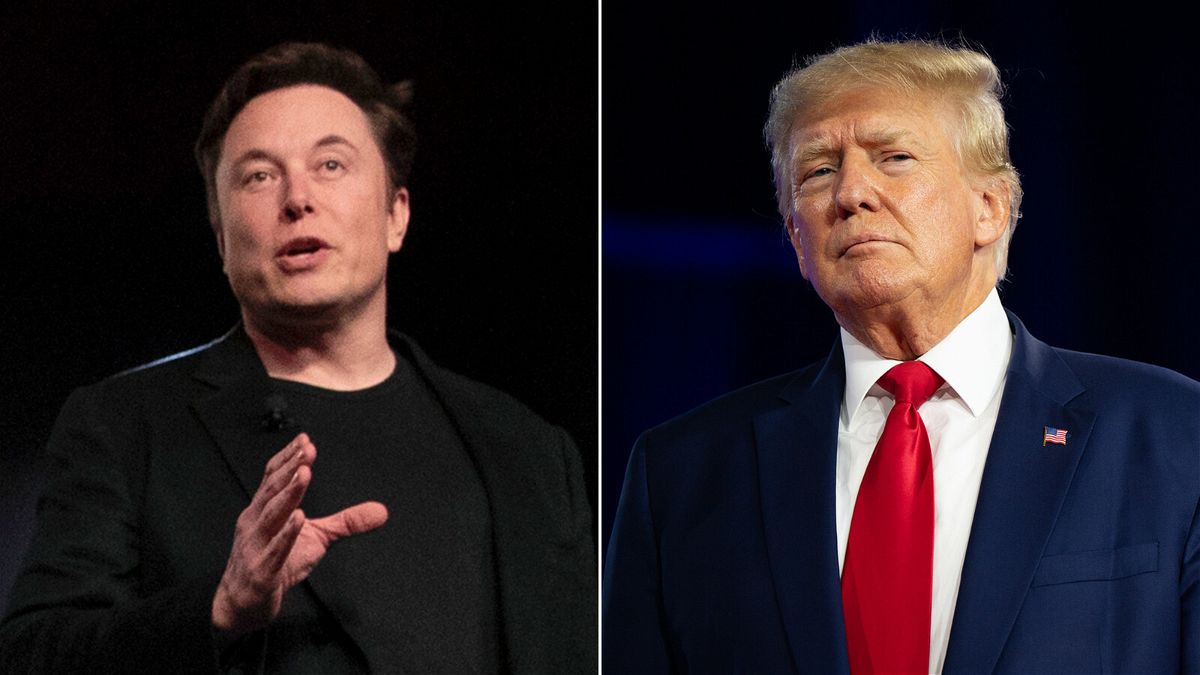 Elon Musk (left) and Former President Donald Trump (right) file photos