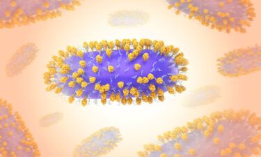 A 3D rendering of respiratory syncytial virus (RSV)