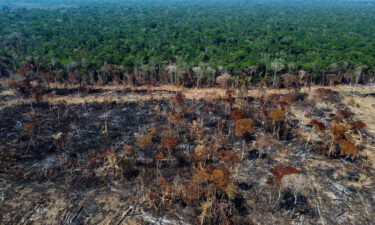 A deforested and burnt area of the Amazon rainforest in September.