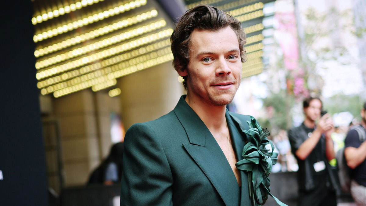 <i>Matt Winkelmeyer/Getty Images</i><br/>Harry Styles