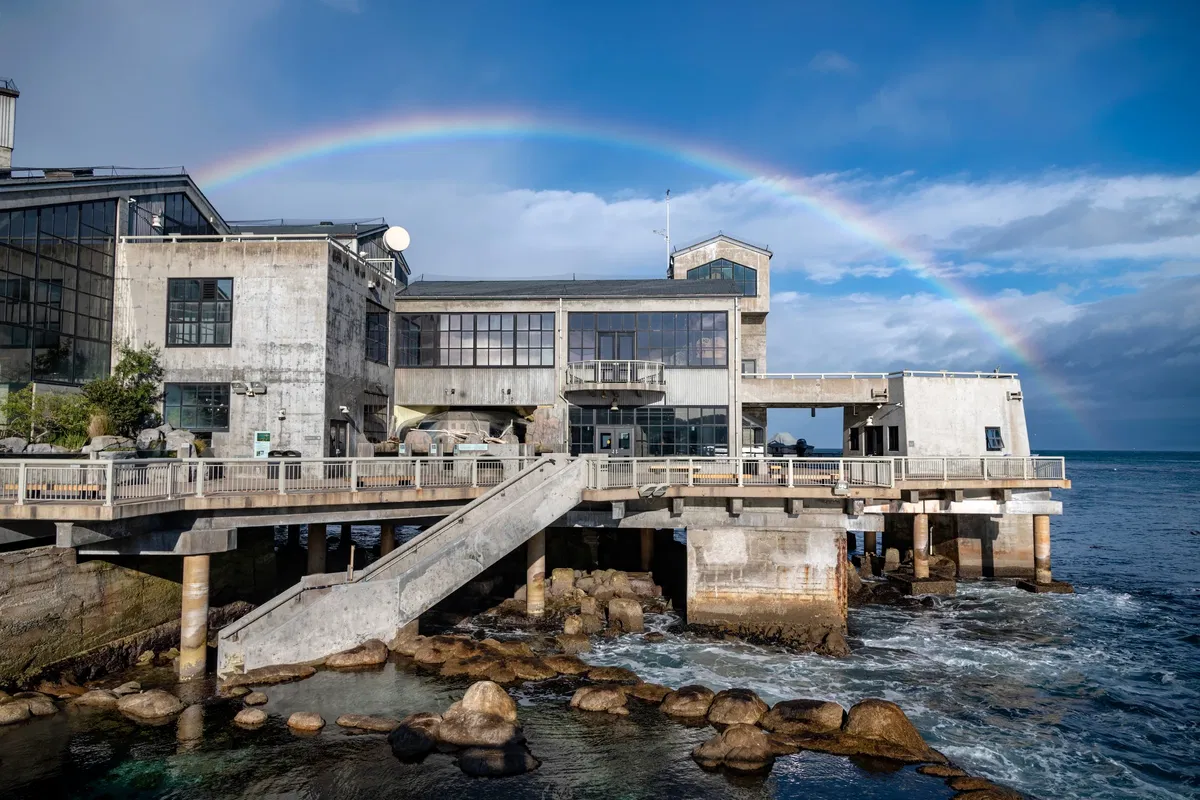 Monterey Bay Aquarium brings back Community Open House KION546