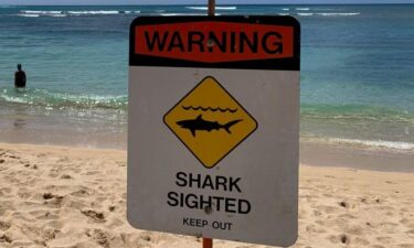 Shark warning signs have been posted along beaches on Oahu’s west side after sharks were spotted between 100 and 150 yards offshore on Wednesday. The warning signs have been posted at Kahe Point Beach Park and Nankuli Beach Park.