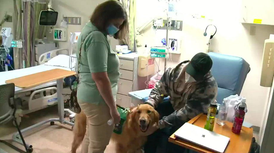 <i>KMOV</i><br/>The 7th floor at the Siteman Cancer Center in the Central West End fills with smiles when dogs