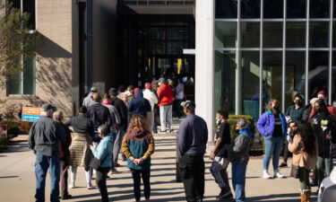 Voters line up at Metropolitan Library in Atlanta on November 29