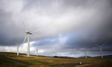 Renewable energy sources such as wind and solar could overtake coal as the world's biggest source of power by 2025.