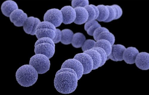 Group A Streptococcus infections are rising in the UK