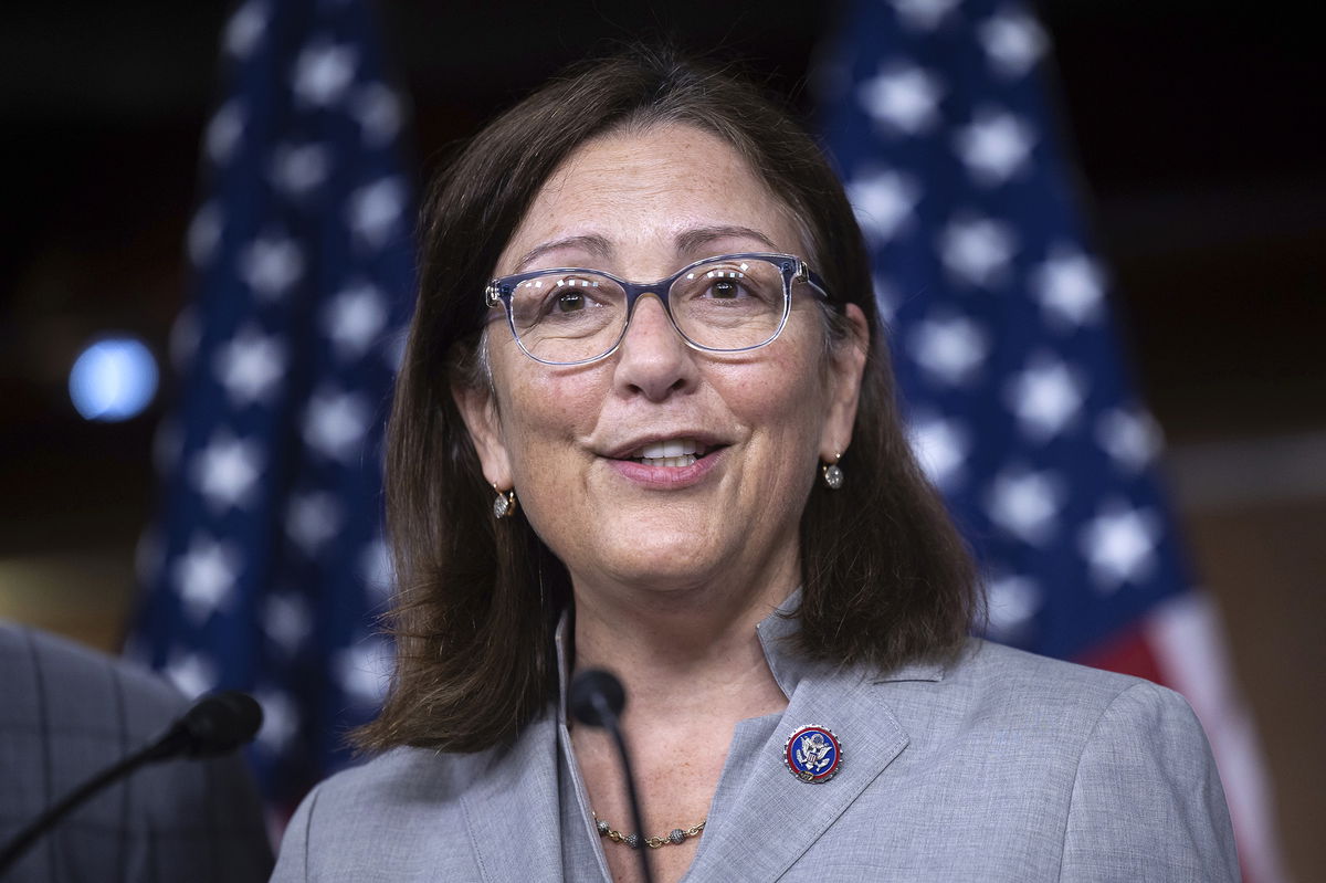 <i>Francis Chung/E&E News/POLITICO/AP</i><br/>Incoming Democratic leader Hakeem Jeffries is set to appoint Rep. Suzan DelBene of Washington to lead the Democratic Congressional Campaign Committee