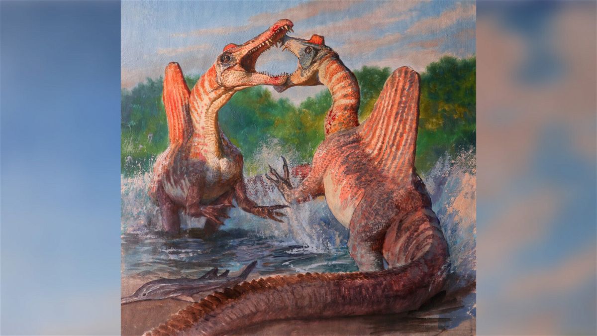 <i>James Gurney</i><br/>Spinosaurus stood on its hind legs and walked upright