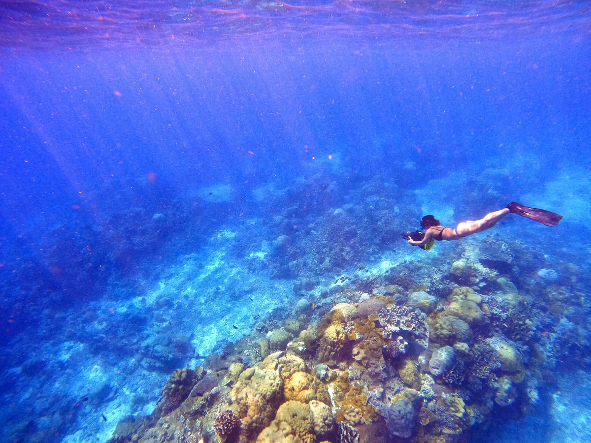 <i>Courtesy Sook Yee Lai</i><br/>Former Christmas Island resident Sook Yee Lai goes for a dive in Flying Fish Cove.