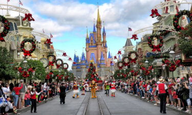 Crowds line Main Street USA