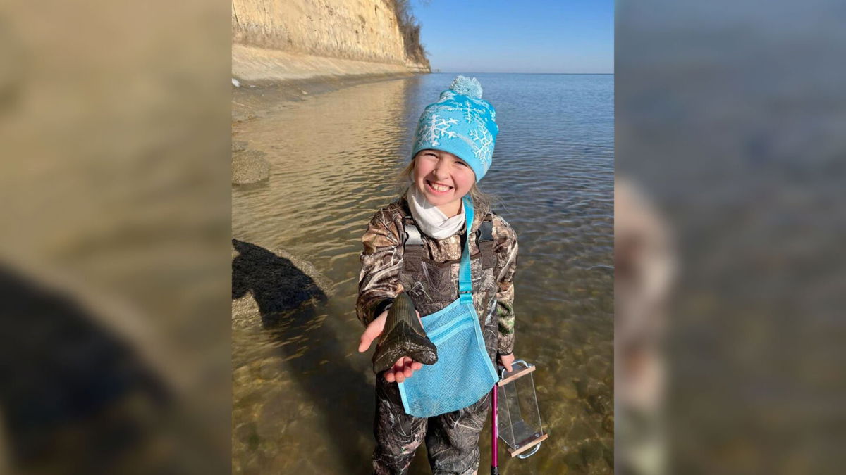 9-year-old Molly Sampson, an aspiring paleontologist, discovered a megalodon tooth on Christmas at Maryland's Calvert Cliffs State Park.