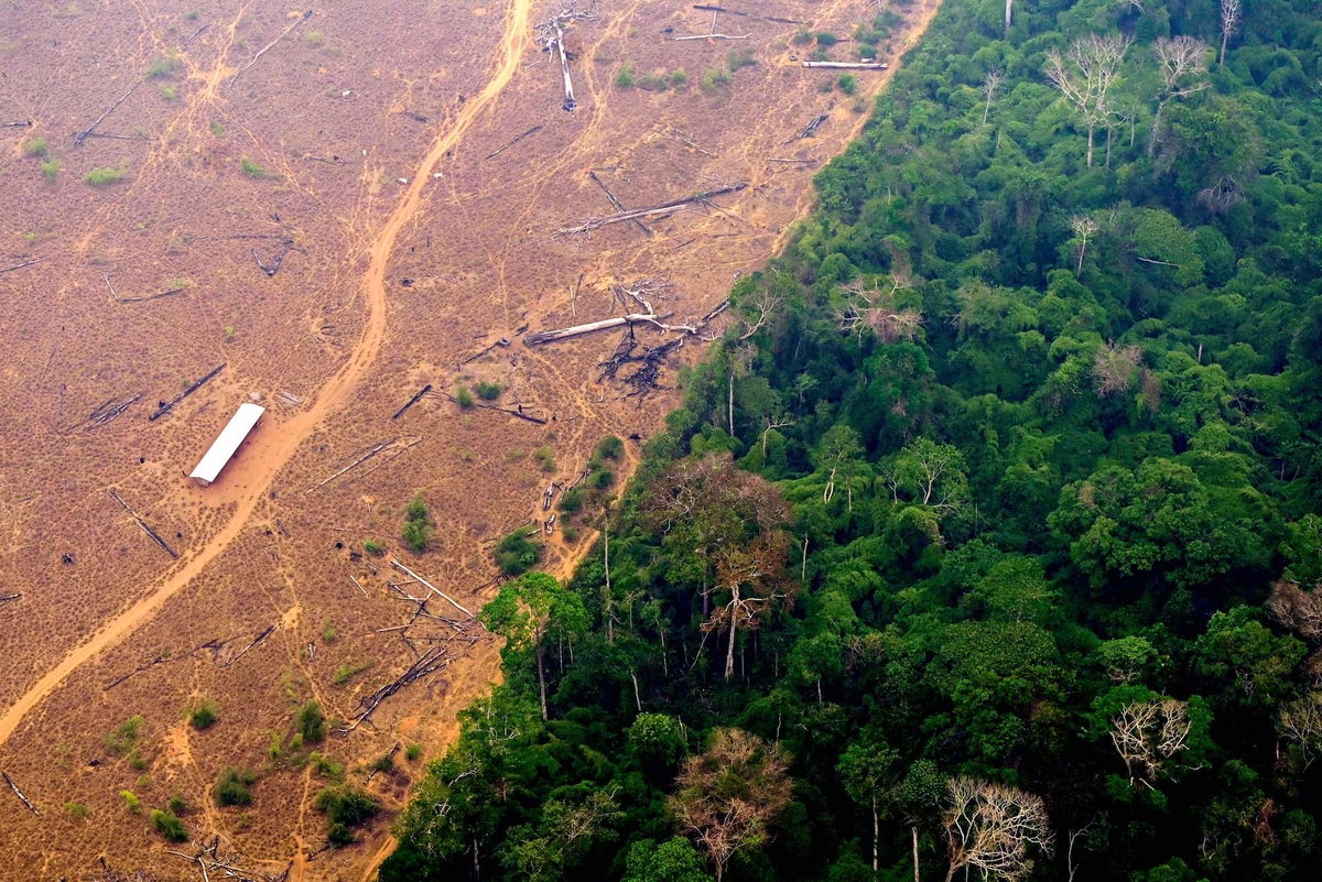 <i>Douglas Magno/AFP/Getty Images</i><br/>Human activity and drought have degraded more than a third of the remaining Amazon rainforest