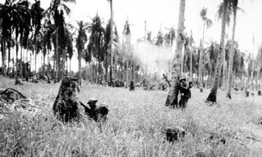 Australian forces advance through a coconut grove and kunai grass in Japanese-occupied New Guinea in February 1943 during World War II.