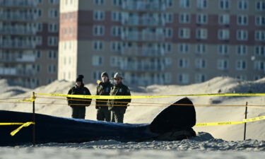 Local authorities stand near a dead whale on Rockaway Beach in New York on December 13.