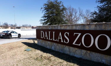 The death of a vulture at the Dallas Zoo is being investigated as suspicious