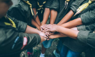 The Girl Guides of Canada will no longer use the word "Brownies" to describe its branch of 7- to 8-year-old scouts.