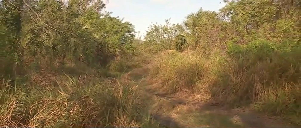 <i></i><br/>People close to missing Lyft driver Gary Levin are waiting for answers after human remains were found in Okeechobee