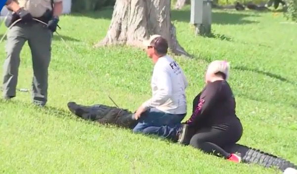 <i>WPBF</i><br/>WPBF spoke with the woman who watched as her neighbor was pulled away in the jaws of an alligator right behind their homes. She says she tried to help