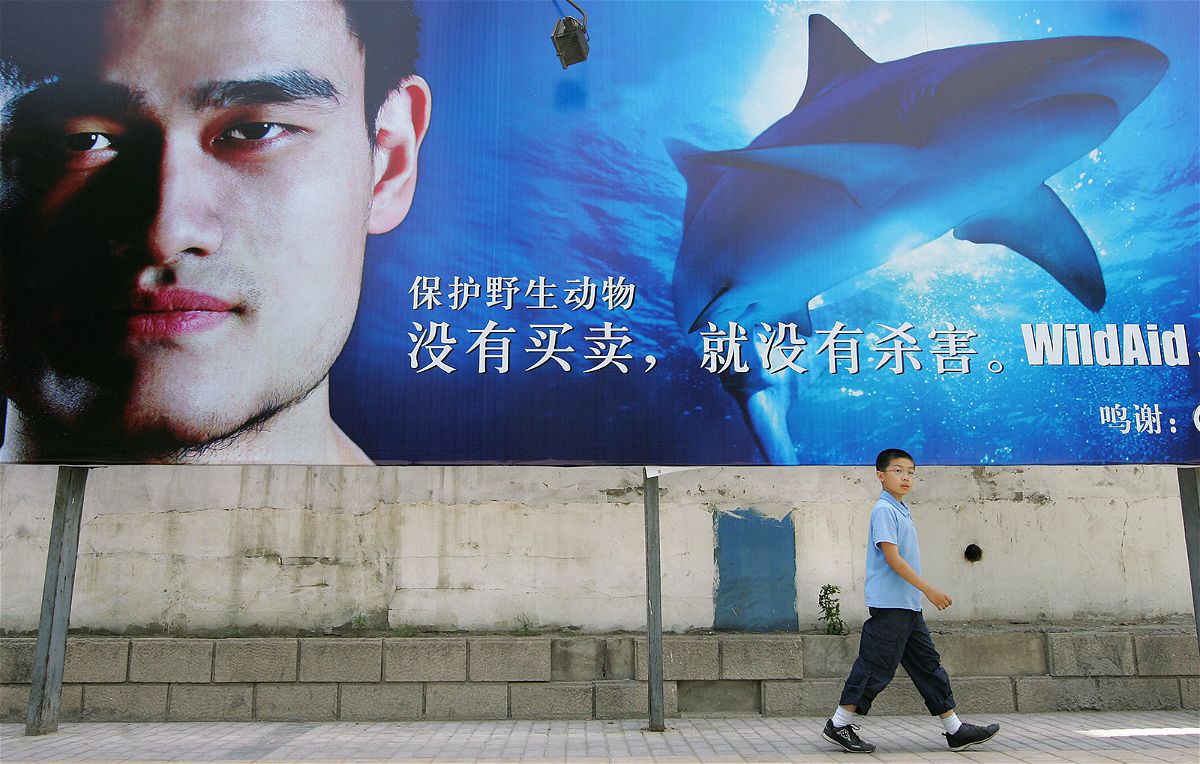 <i>Frederic J. Brown/AFP/Getty Images</i><br/>A Chinese vlogger is fined after eating a great white shark on video
