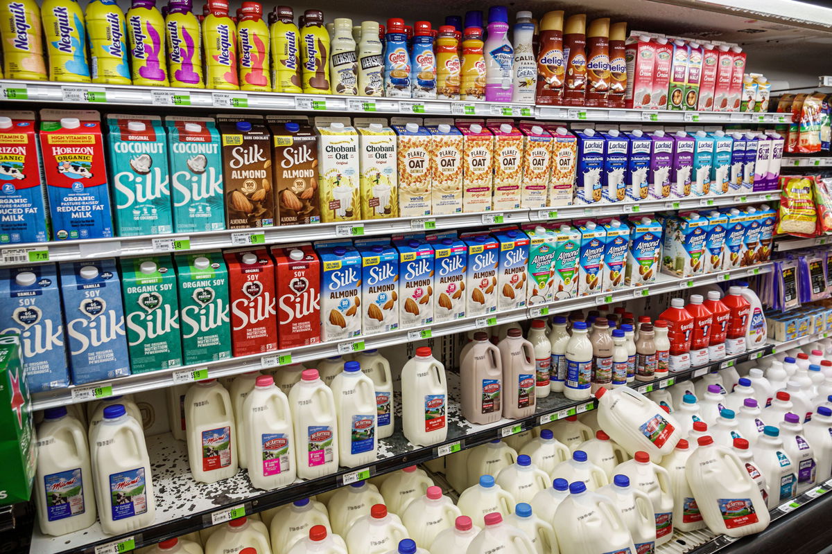 Miami Beach, Florida, Normandy Isle, Sabor Tropical Supermarket, refrigerated milk aisle, Silk, Nesquik, almond milk, organic milk, oat milk. (Photo by: Jeffrey Greenberg/Universal Images Group via Getty Images)