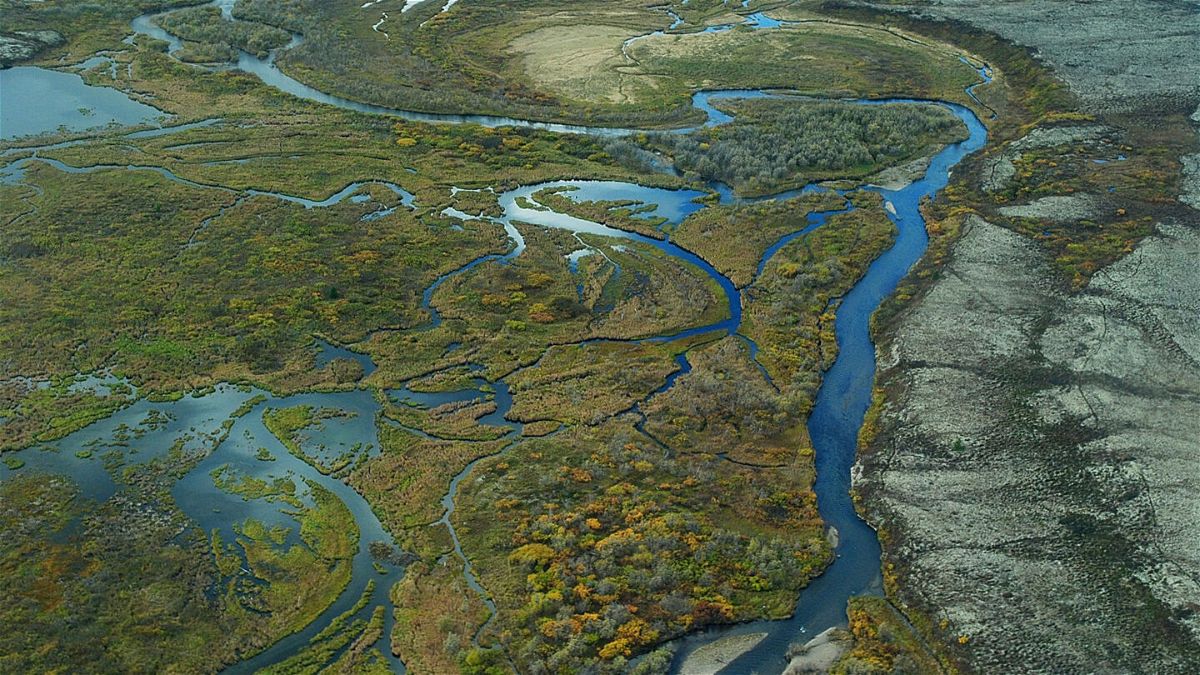 <i>Joseph Ebersole/EPA via AP</i><br/>The Environmental Protection Agency has blocked a controversial mining project set for development in Alaska over concerns about adverse effects on salmon fisheries in the area