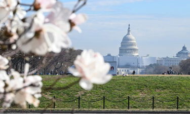 In some warmer parts of DC